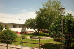 p1000787
