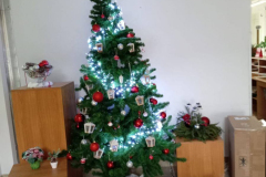 IMG-20251223-WA0007